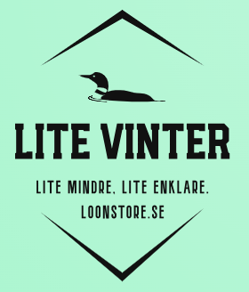 Lite vinter